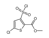 5-氯-3-(氯磺酰基)噻吩-2-甲酸甲酯结构式