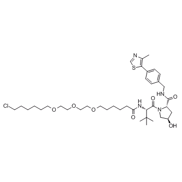 E3连接酶Ligand-Linker共轭物8图片