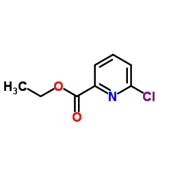 6-氯-2-吡啶羧酸乙酯图片