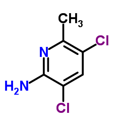 3,5-Dichloro-6-methyl-2-pyridinamine Structure
