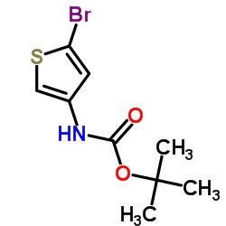 2-溴-4-(N-叔丁氧羰基胺基)噻吩结构式