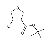 4-羟基四氢呋喃-3-羧酸叔丁酯结构式