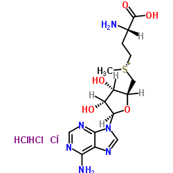 S-(5'-Adenosyl)-L-methionine chloride(SAM) structure