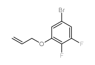5-bromo-1,2-difluoro-3-prop-2-enoxybenzene结构式