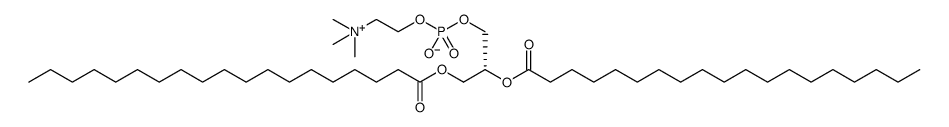 1,2-Dinonadecanoyl-sn-glycero-3-PC Structure