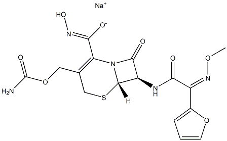 E-Ceftizoxime Sodium Salt Structure