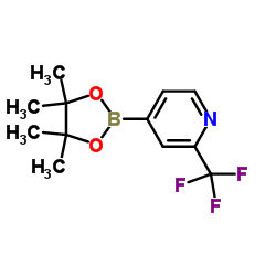 2-Trifluoromethylpyridine-4-boronic acid pinacol ester Structure