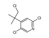 2,5-dichloro-4-(1-chloro-2-methylpropan-2-yl)pyridine Structure
