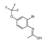 N-(2-溴-4-(三氟甲氧基)苯基)乙酰胺结构式