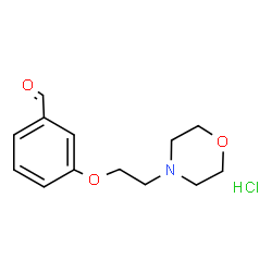 3-[2-(吗啉-4-基)乙氧基]苯(甲)醛盐酸盐结构式