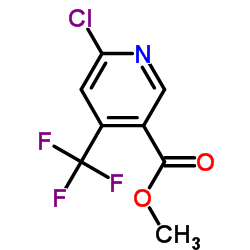 6-氯-4-(三氟甲基)烟酸甲酯结构式
