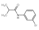 N-(3-bromophenyl)-2-methylpropanamide Structure