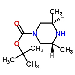 (3R,5R)-3,5-二甲基-1-哌嗪羧酸叔丁酯结构式