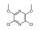 2,6-dichloro-3,5-dimethoxy-pyrazine Structure