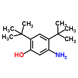 5-氨基-2,4-二叔丁基苯酚结构式