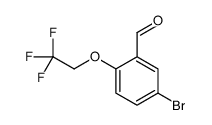 5-bromo-2-(2,2,2-trifluoroethoxy)benzaldehyde Structure