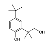 4-(叔丁基)-2-(1-羟基-2-甲基丙烷-2-基)苯酚结构式