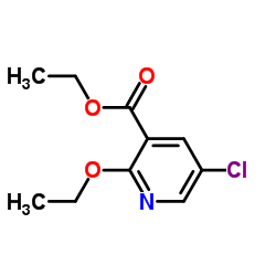 Ethyl 5-chloro-2-ethoxypyridine-3-carboxylate structure