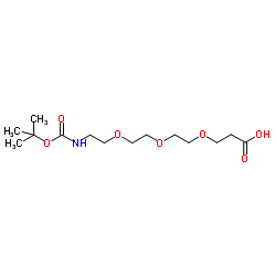 Boc-N-amido-PEG3-acid structure