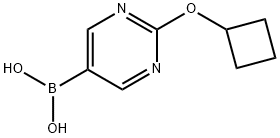2-(Cyclobutoxy)pyrimidine-5-boronic acid Structure