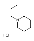 1-propylpiperidine,hydrochloride Structure