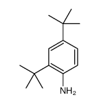 2,4-二叔丁基苯胺图片