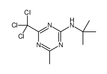 N-tert-butyl-4-methyl-6-(trichloromethyl)-1,3,5-triazin-2-amine结构式