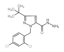 5-tert-butyl-2-[(2,4-dichlorophenyl)methyl]pyrazole-3-carbohydrazide Structure