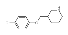 3-[(4-chlorophenoxy)methyl]piperidine Structure