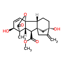 methyl gibberellate Structure