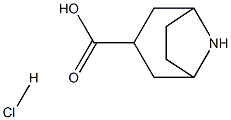 exo-8-氮杂双环[3.2.1]辛烷-3-羧酸盐酸盐图片