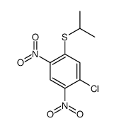 1-chloro-2,4-dinitro-5-propan-2-ylsulfanylbenzene Structure
