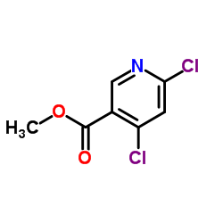 甲基 4,6-二氯烟酸酯结构式