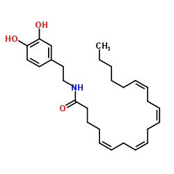 N-Arachidonoyl dopamine结构式