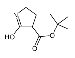 tert-butyl 2-oxopyrrolidine-3-carboxylate Structure