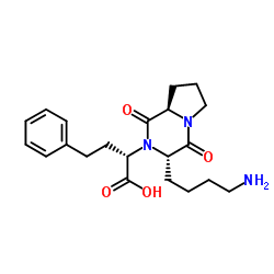 赖诺普利(8R,S)-二酮哌嗪(非对映体混合物)结构式