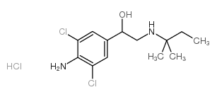 Clenpenterol Hydrochloride picture
