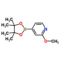 2-甲氧基吡啶-4-戊酰硼酸结构式
