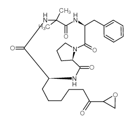 Chlamydocin Structure
