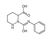 2-(phenylcarbamoyl)diazinane-3-carboxylic acid Structure