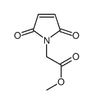 (2,5-dioxo-2,5-dihydro-pyrrol-1-yl)acetic acid Methyl ester picture