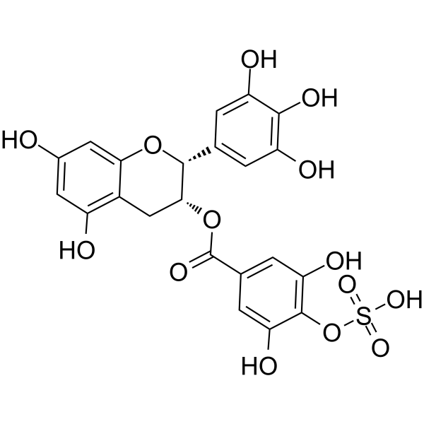 EGCG-4″-sulfate Structure