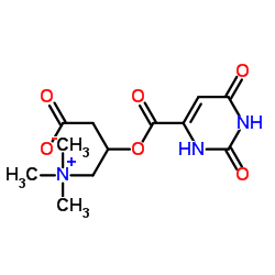 DL-CARNITINEOROTATE structure
