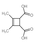 2,3-dimethylcyclobut-2-ene-1,4-dicarboxylic acid Structure