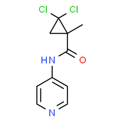 Cyclopropanecarboxamide, 2,2-dichloro-1-methyl-N-4-pyridinyl- (9CI)结构式