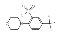 2-吗啉-5-(三氟甲基)苯磺酰氯结构式