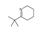 6-tert-butyl-2,3,4,5-tetrahydropyridine结构式