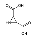 aziridine-2,3-dicarboxylic acid Structure
