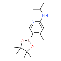 N-isopropyl-4-Methyl-5-(4,4,5,5-tetramethyl-1,3,2-dioxaborolan-2-yl)pyridin-2-amine结构式
