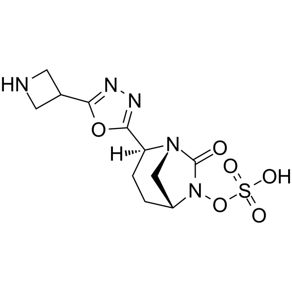 β-Lactamase-IN-4 Structure